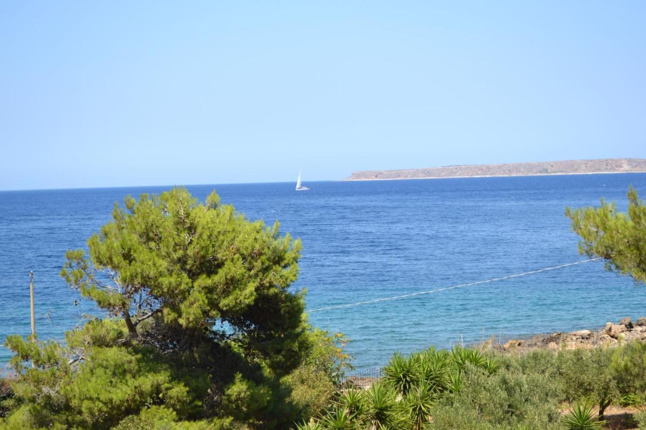 Villa Paradiso Riserva Naturale Monte Cofano 卡斯泰卢佐 外观 照片